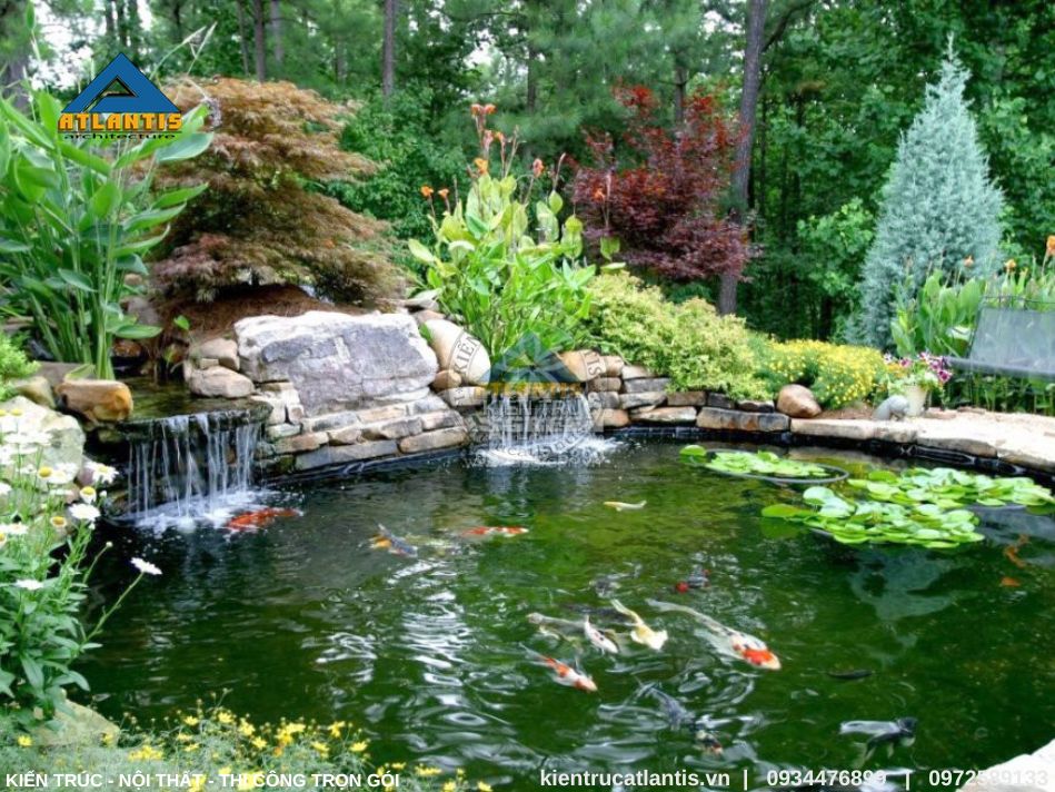 Thiết kế ao lớn có thể nuôi cá